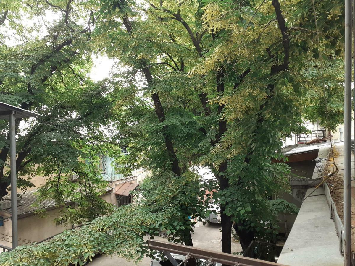 Woodmood Hostel Tbilisi Ngoại thất bức ảnh